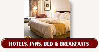Hotels in Downtown St Petersburg Florida