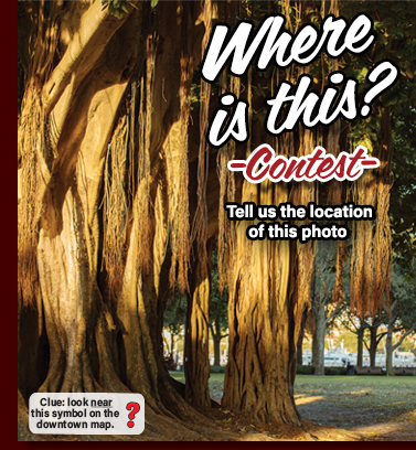 Where-Is-This? Free Online Contest Downtown St Petersburg